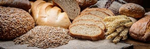 Brioche Dorée injecte de l’IA prédictive en magasin